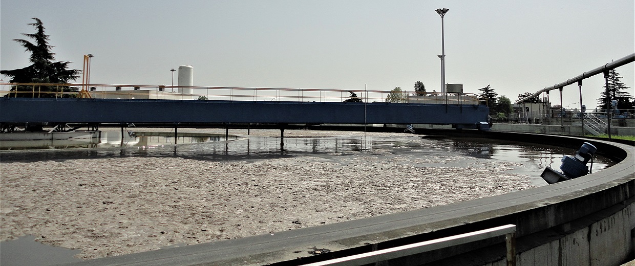 Industrial and environmental biotechnologies and fluid dynamics