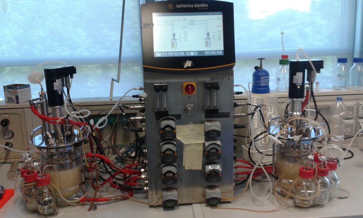 Culture of bacteria in pure and mixed cultures in a benchtop fermenter