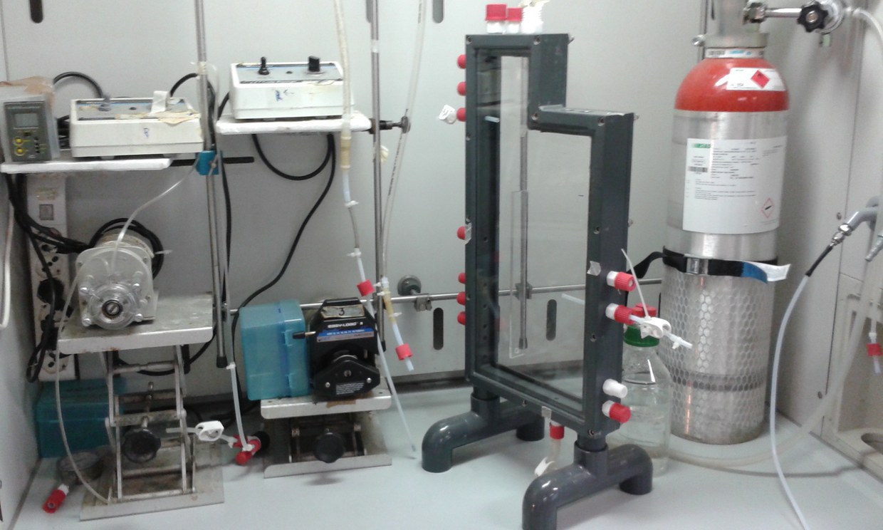 Bioreactor designed to operate the removal of hydrogen sulfide from biogas mediated by red bacteria