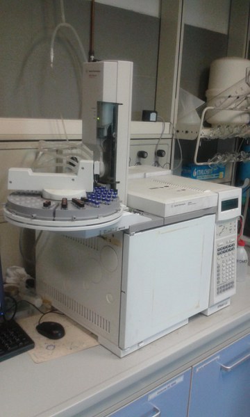 Analysis of metabolites produced or degraded using GC