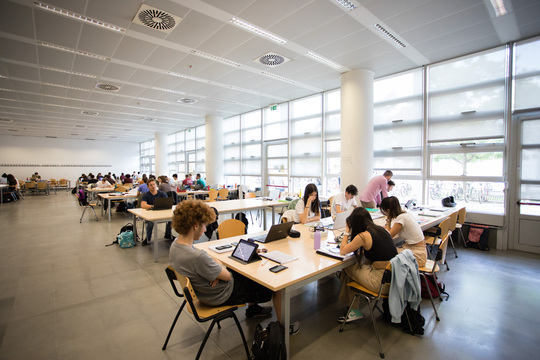 Bando Marco Polo - 1° tornata 2026