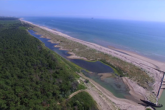 Due premi Guidarello ai docenti del Dipartimento: riconosciuta l’eccellenza tra ricerca, cultura e territorio