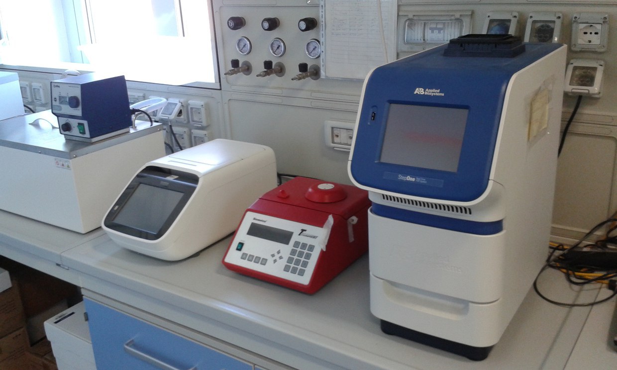 Analisi molecolare di popolazioni microbiche PCR