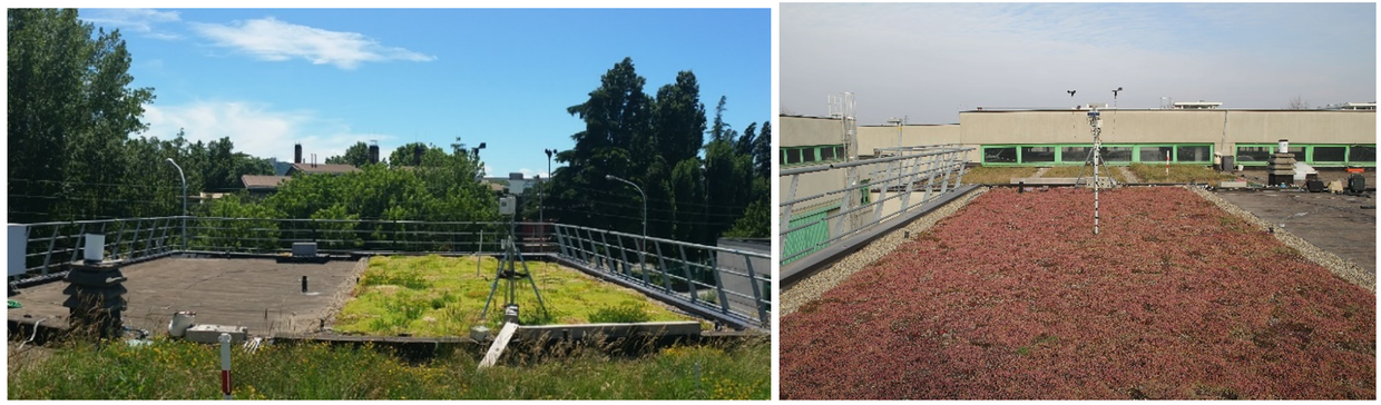 Sperimentazione del tetto verde (resp.Maglionico)